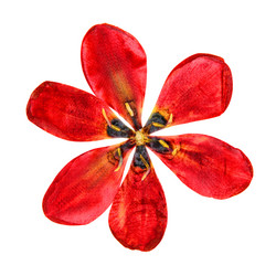 Similar image 21047237