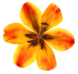 Similar image 21047241