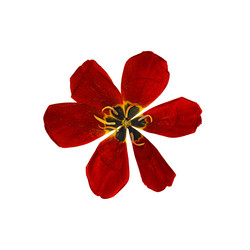 Similar image 21047337