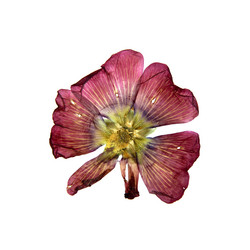 Similar image 21047339