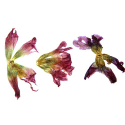 Similar image 21047421