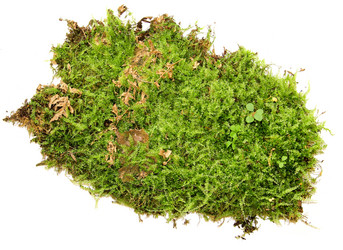 Similar image 21047422