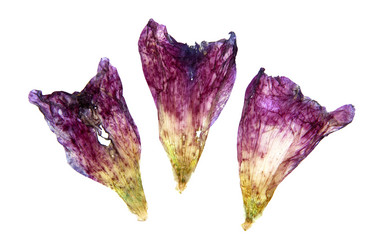 Similar image 21047423