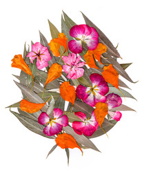 Similar image 21047463