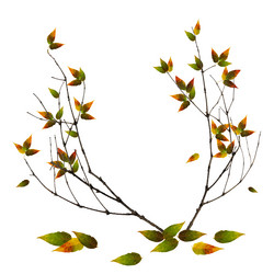 Similar image 21047465