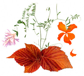 Similar image 21047467