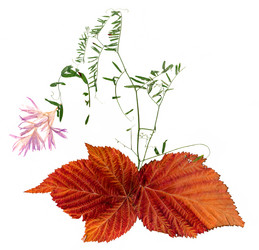 Similar image 21047469