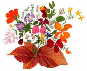 Similar image 21047471