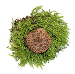 Similar image 21047472