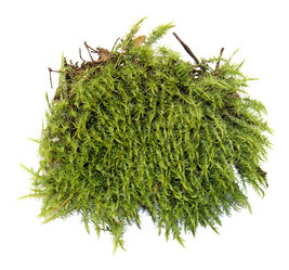 Similar image 21047474