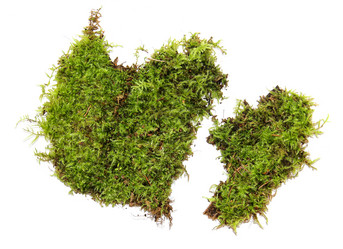 Similar image 21047478