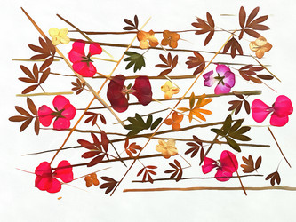 Similar image 21047562