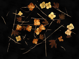 Similar image 21047564