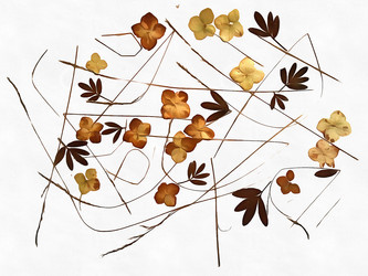 Similar image 21047566