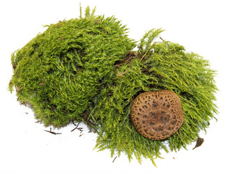 Similar image 21047569