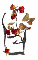 Similar image 21047570