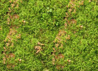 Similar image 21047571