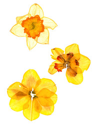 Similar image 21047573