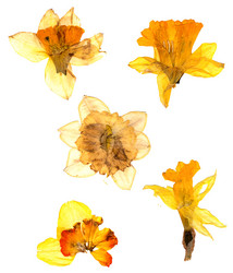 Similar image 21047574