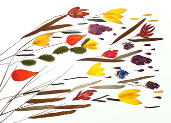 Similar image 21047576