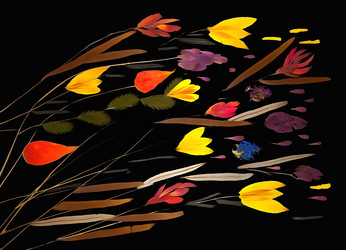 Similar image 21047577