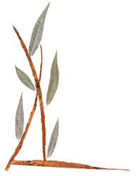 Similar image 21047578