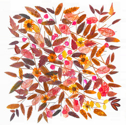 Similar image 21047579