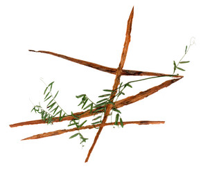 Similar image 21047584