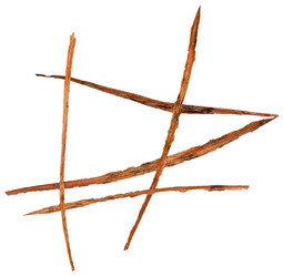 Similar image 21047587