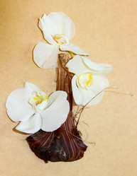 Similar image 21047588