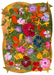 Similar image 21047673