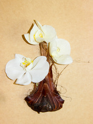 Similar image 21047674