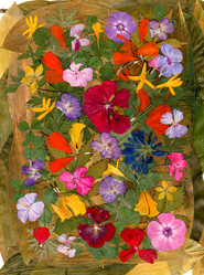 Similar image 21047713