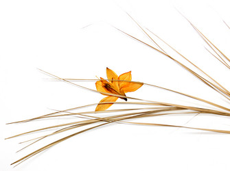 Similar image 21047720