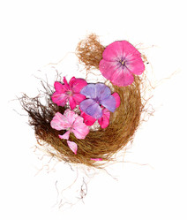 Similar image 21042646