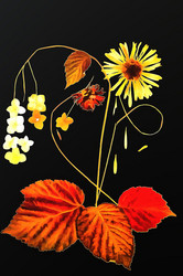 Similar image 21042647