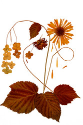 Similar image 21042648