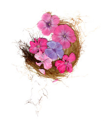 Similar image 21042649