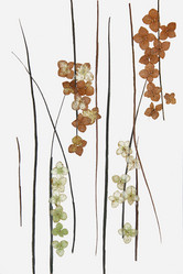 Similar image 21042650