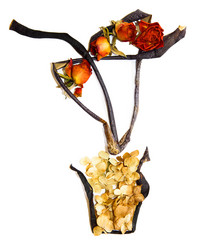 Similar image 21042656