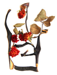 Similar image 21042658