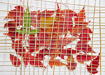 Similar image 21042661