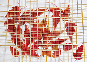 Similar image 21042663