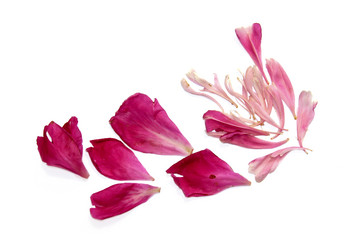 Similar image 21042665