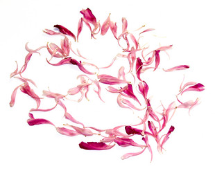 Similar image 21042667