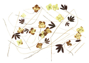 Similar image 21042669