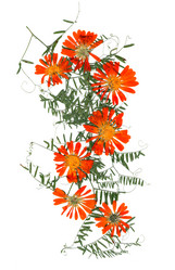 Similar image 21042672