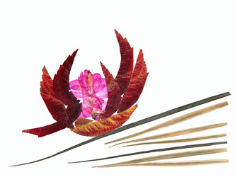 Similar image 21042677