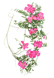 Similar image 21042678