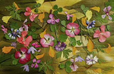 Similar image 21046887